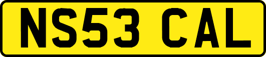 NS53CAL