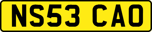 NS53CAO