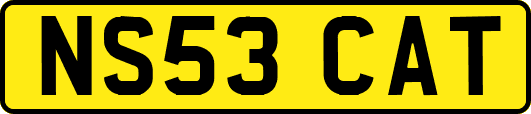 NS53CAT
