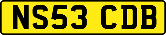 NS53CDB