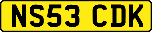 NS53CDK