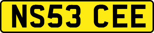 NS53CEE