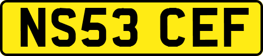 NS53CEF