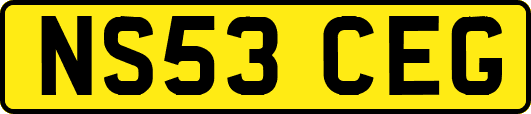 NS53CEG