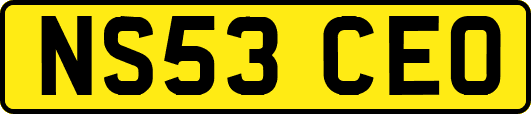NS53CEO