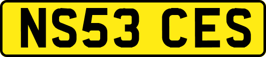 NS53CES