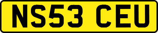 NS53CEU