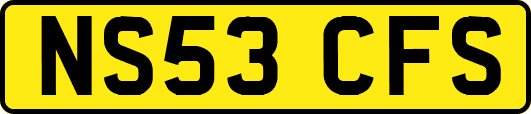 NS53CFS