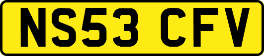 NS53CFV
