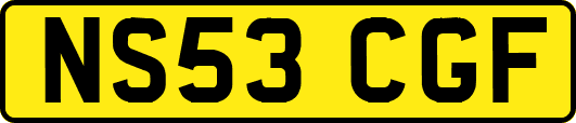 NS53CGF