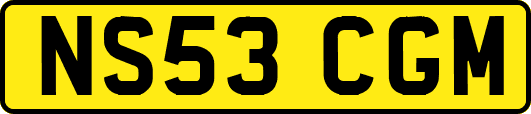 NS53CGM