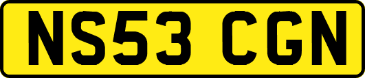 NS53CGN