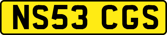 NS53CGS