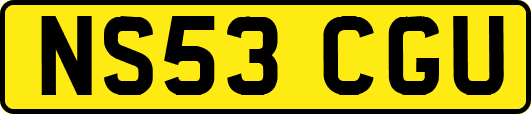 NS53CGU
