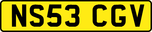 NS53CGV