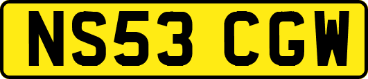 NS53CGW