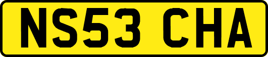 NS53CHA