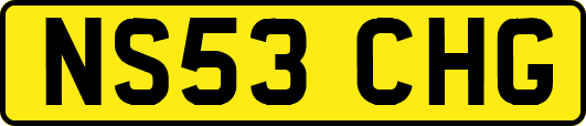 NS53CHG