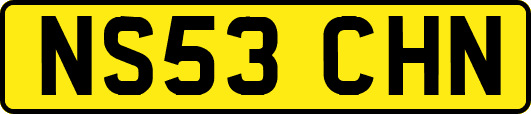 NS53CHN