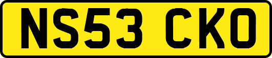 NS53CKO