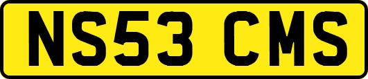 NS53CMS