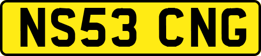 NS53CNG