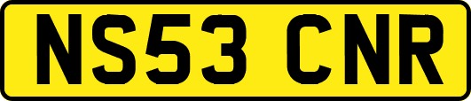 NS53CNR