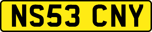 NS53CNY