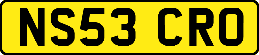 NS53CRO