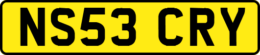NS53CRY