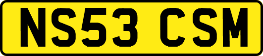 NS53CSM