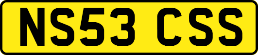 NS53CSS