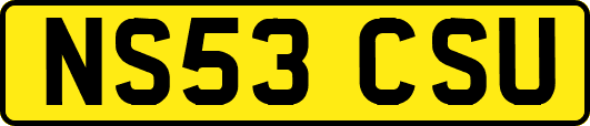 NS53CSU