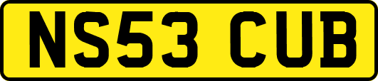NS53CUB
