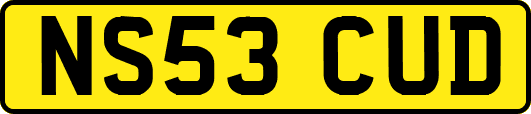 NS53CUD