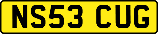 NS53CUG