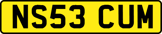 NS53CUM