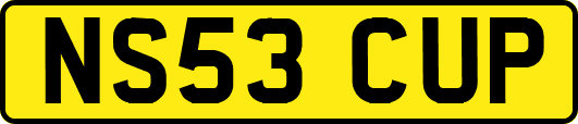 NS53CUP
