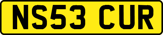 NS53CUR