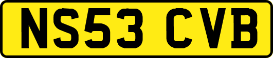 NS53CVB