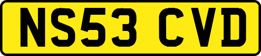 NS53CVD