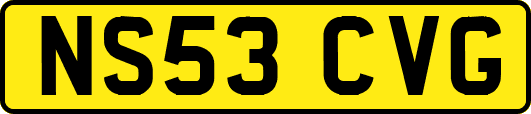 NS53CVG