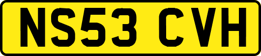 NS53CVH