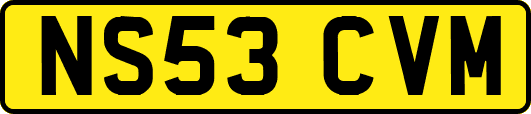 NS53CVM