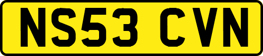 NS53CVN