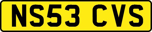 NS53CVS