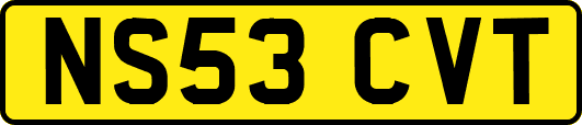NS53CVT