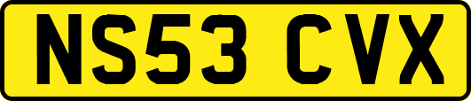 NS53CVX