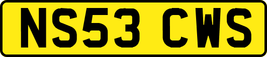 NS53CWS