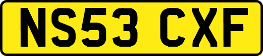 NS53CXF